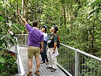 Port Douglas Accommodation