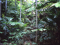 Port Douglas Accommodation