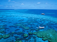 Port Douglas Accommodation