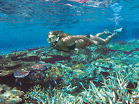 Port Douglas Accommodation