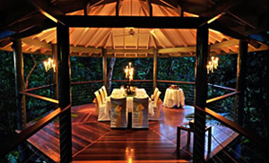 Rainforest Pavillion