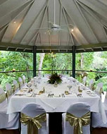 Rainforest Pavillion Wedding