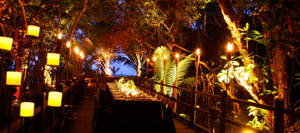 Port Douglas Resort Rainforest Reception